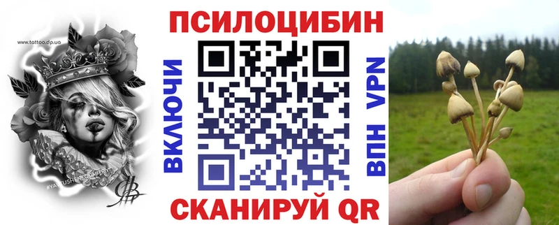 купить закладку  Пойковский  mega зеркало  Галлюциногенные грибы мицелий 